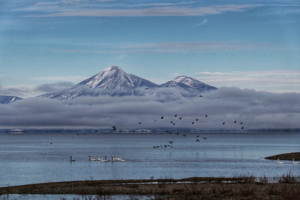 磐梯山と白鳥と３