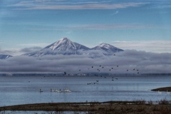 磐梯山と白鳥と３