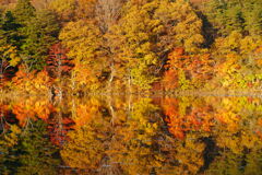 観音沼森林公園６