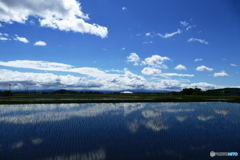 田鏡２