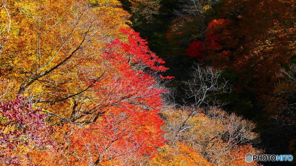 甲子トンネル近辺 ３