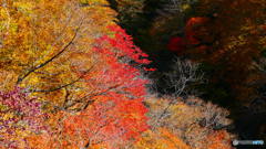 甲子トンネル近辺 ３