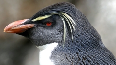 1180720油壺水族館