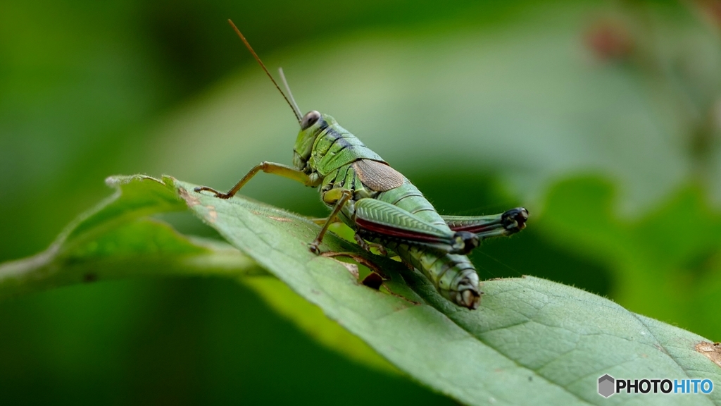 明日も晴れるかな…