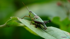 明日も晴れるかな…