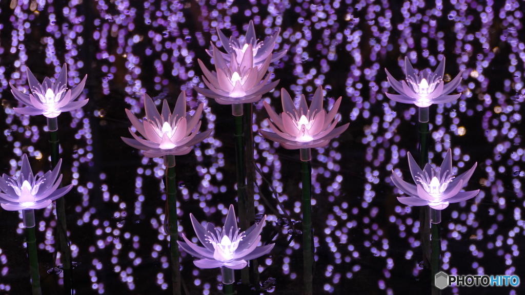 叙情詩イルミ ２