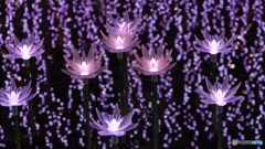 叙情詩イルミ ２