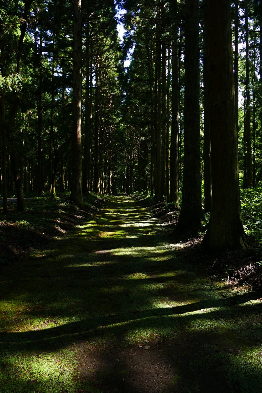 なにかを感じる