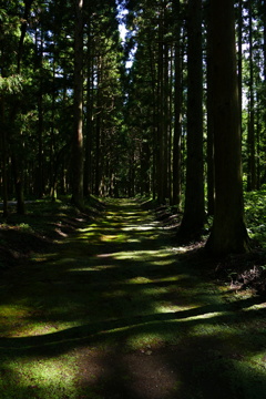なにかを感じる