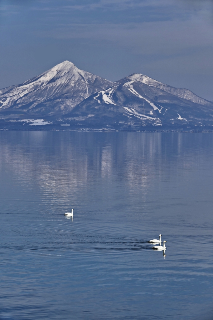 猪苗代湖と磐梯山と白鳥と