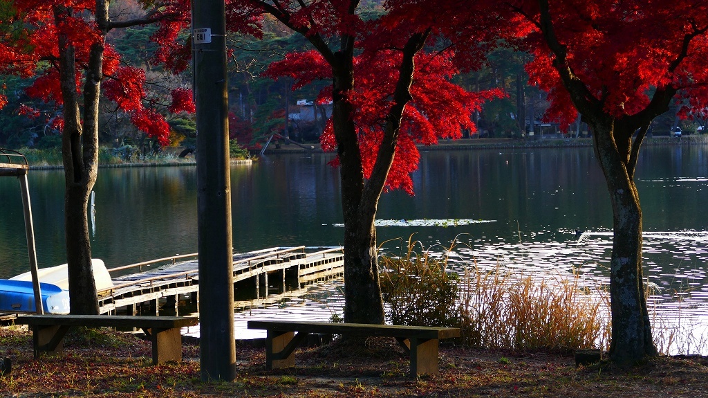 P1170207　@白河市南湖公園
