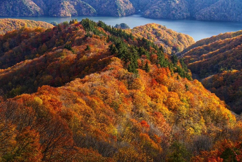 レイクライン２