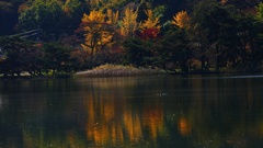 P1160536@白河市南湖