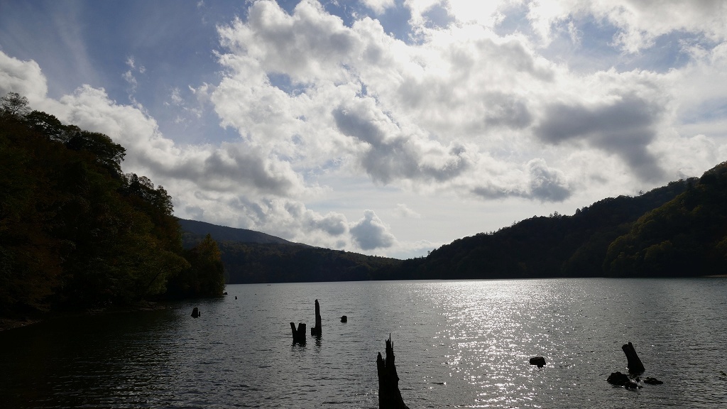 P1150210　奥日光