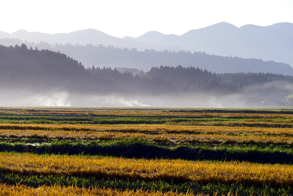 朝霧のなか…