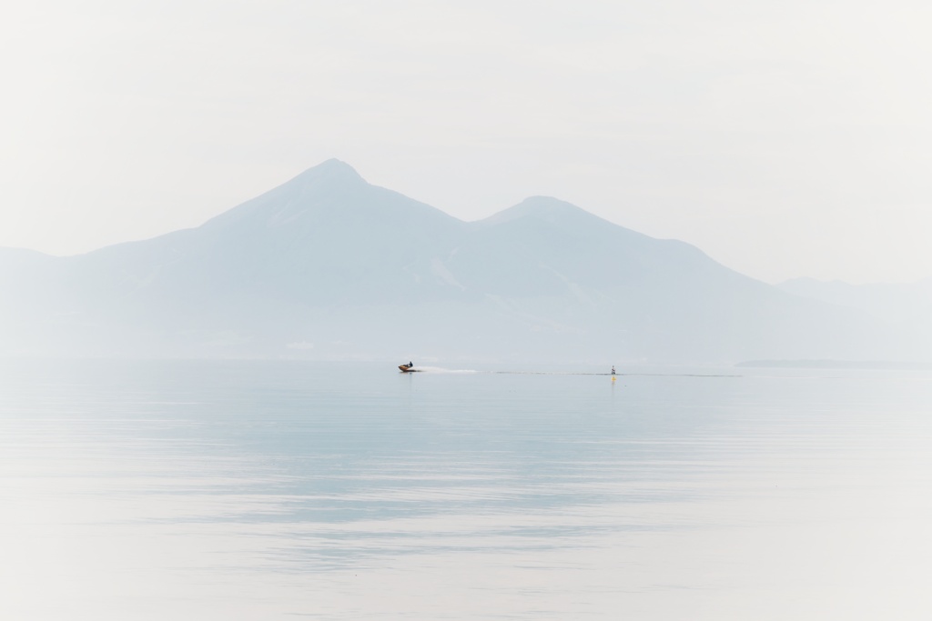 ホワイティドリーム