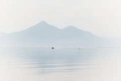 ホワイティドリーム