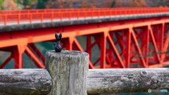 晩秋の草木湖 ２