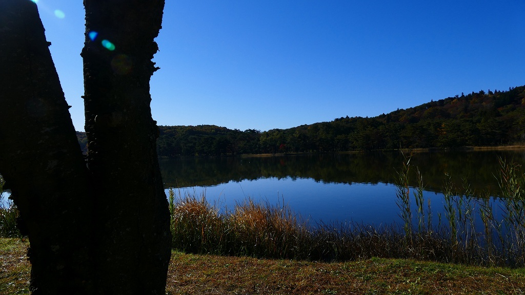 P1160509@白河市南湖