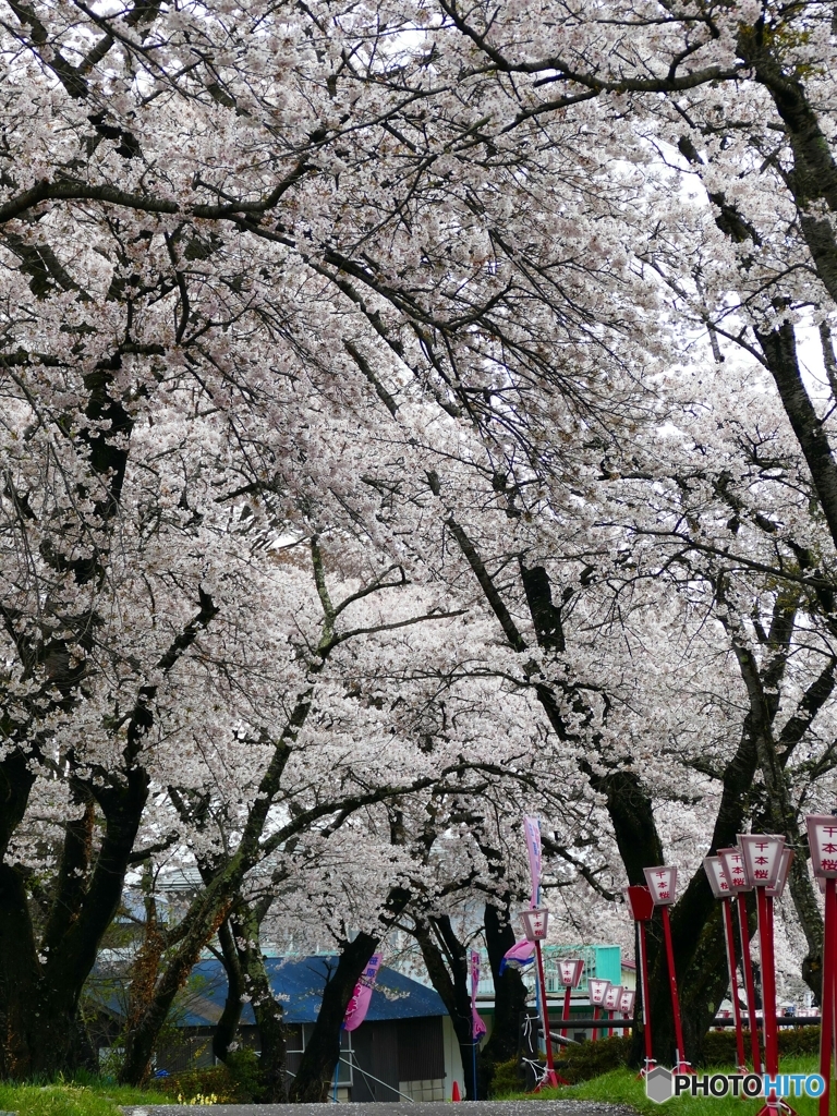 笹原川@郡山市三穂田