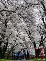 笹原川@郡山市三穂田