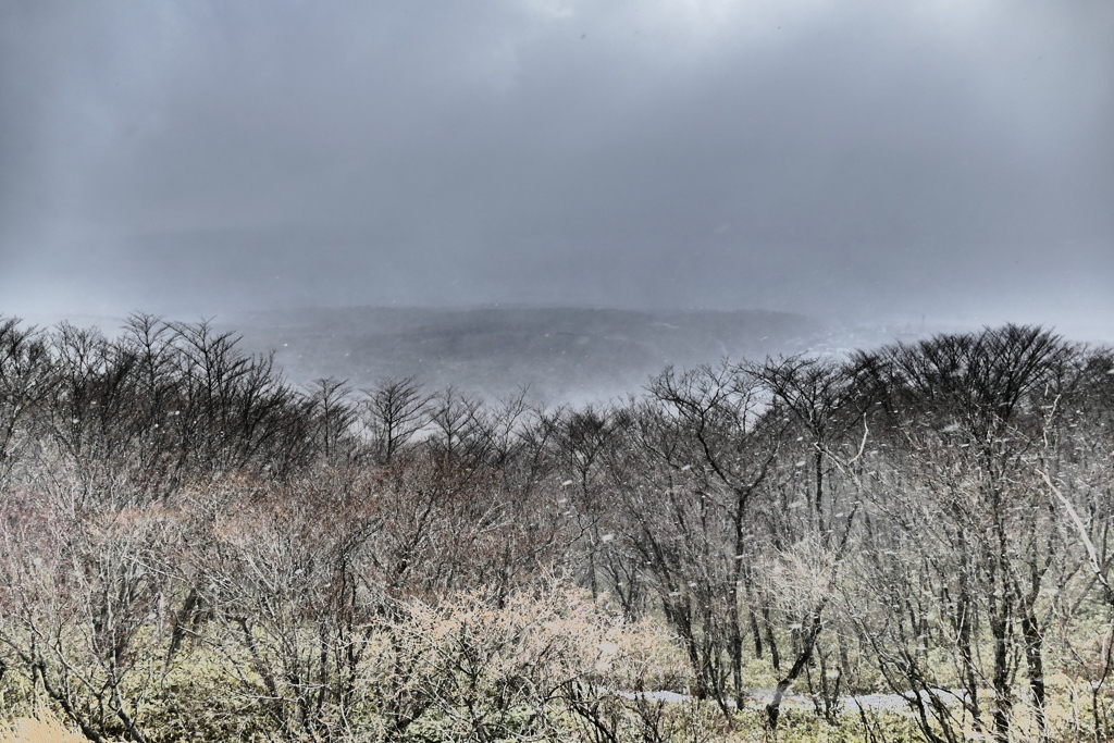 ある冬の日のスナップ１