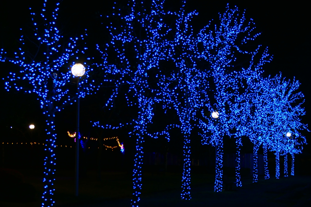 みずいろ公園２