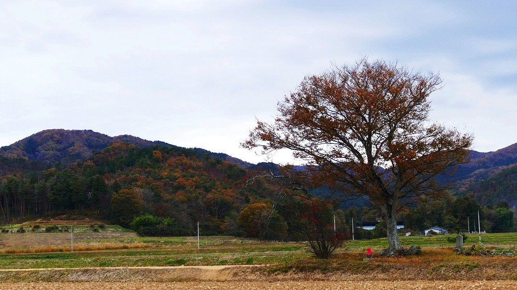 P1160752　里山秋景@郡山市多田野