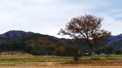 P1160752　里山秋景@郡山市多田野