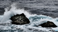 P1210441伊豆情景