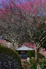 梅林寺１