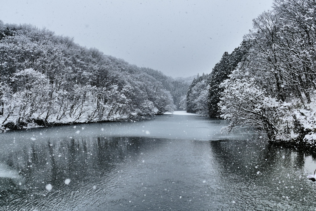 降り注ぐ雪