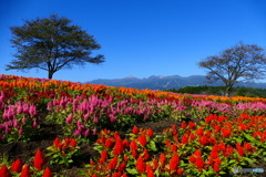 快晴那須連峰 ２
