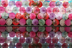 アンブレラスカイ２