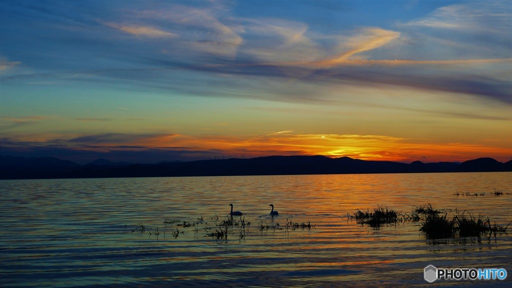 ぽつりと、二匹