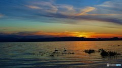 ぽつりと、二匹