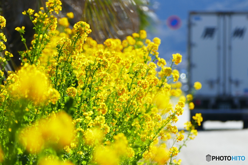 冬は無いの？房総さん