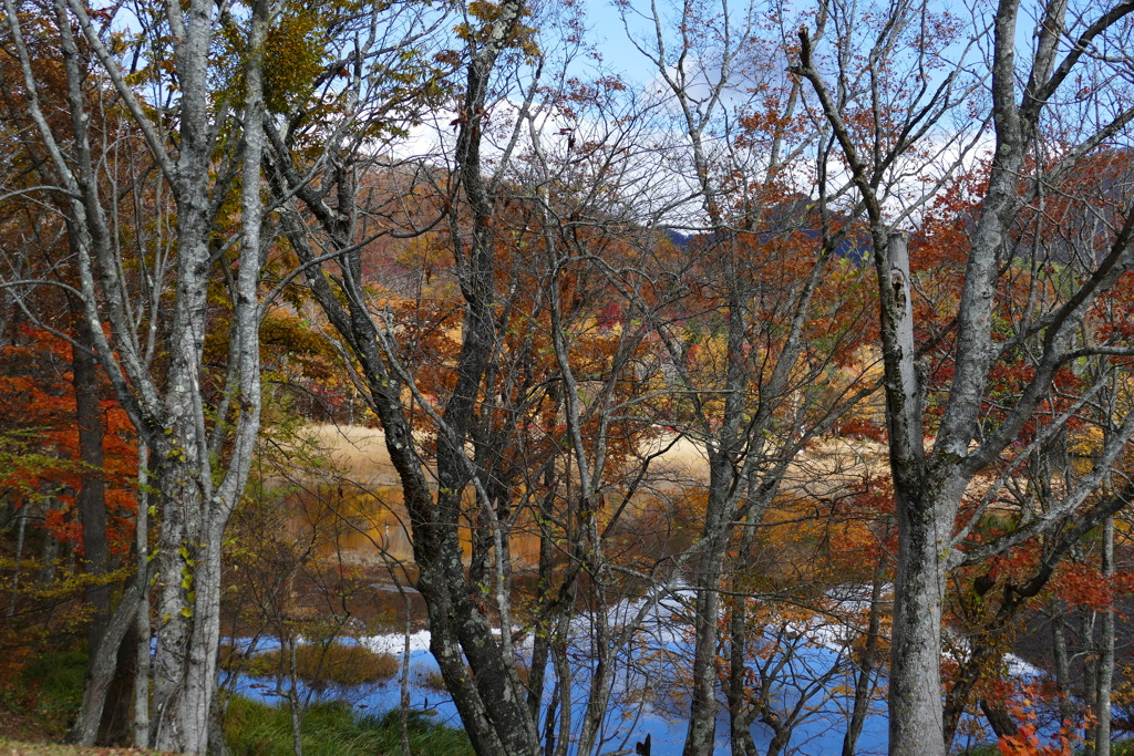 観音沼森林公園４
