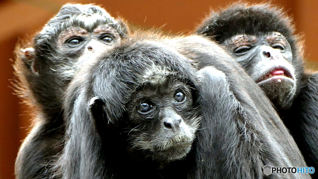 未来を見つめて