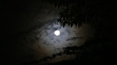 P1140524朧月夜