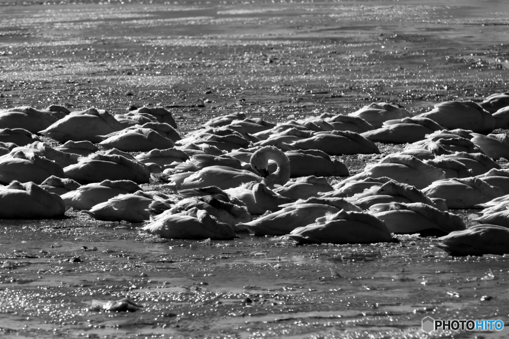 アメニモマケズ…カゼニモマケケケ……