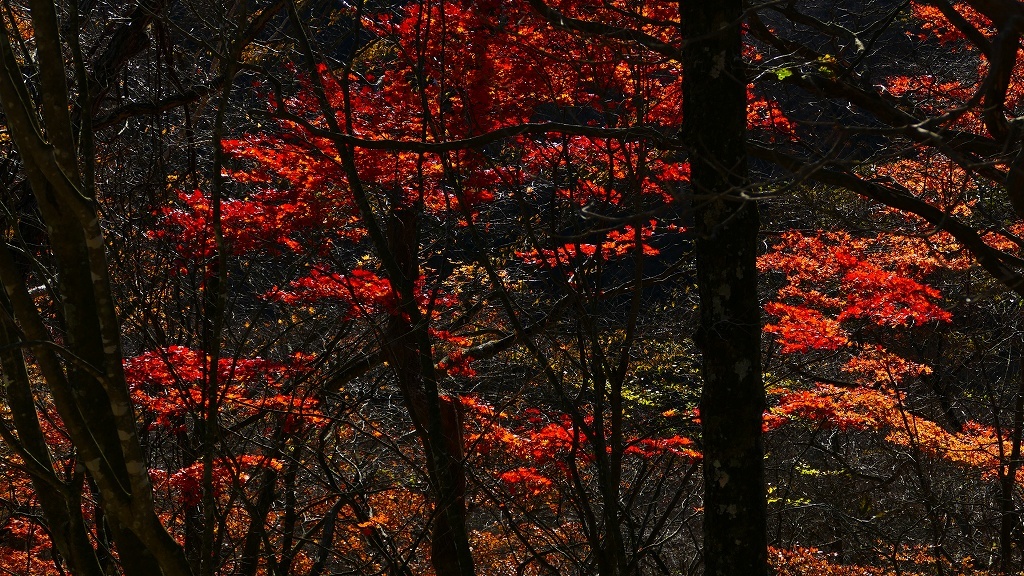 P1160397＠赤城山
