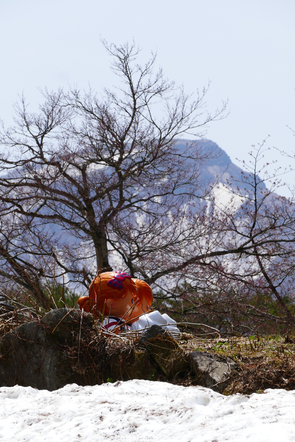 この時期限定磐梯山