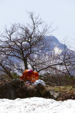この時期限定磐梯山