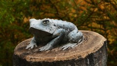 P1150082　奥日光