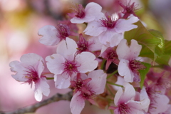 そろそろ交代だね