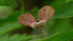 いやらしいような。。。