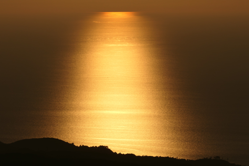黄金色の夕景
