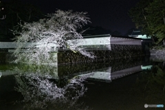 夜の小田原城５