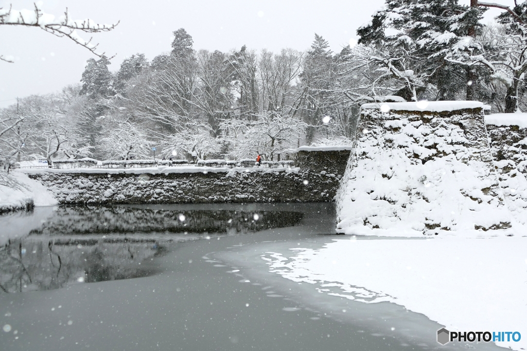 無彩色のなかの紅一点